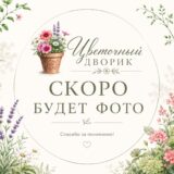 Заполнитель